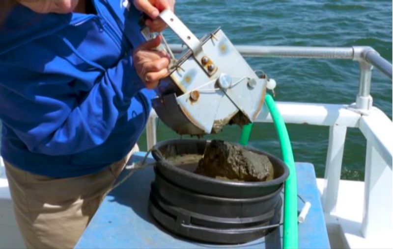 Bottom Sediment thumbnail