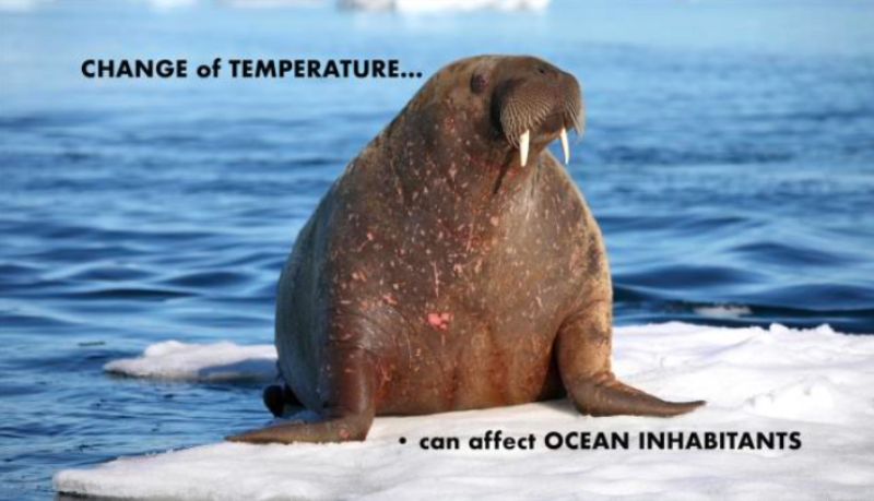 Water Clarity, Color, and Temperature thumbnail